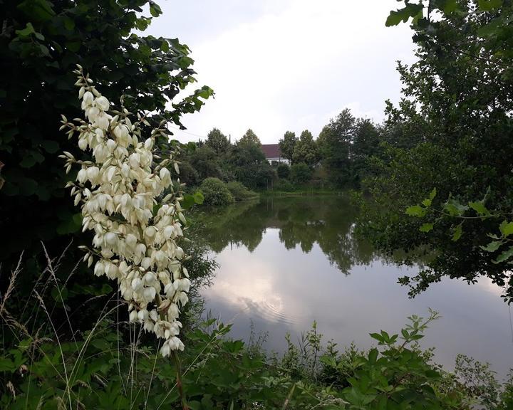 "Zuma Anglerheim" Hanau Klein-Auheim