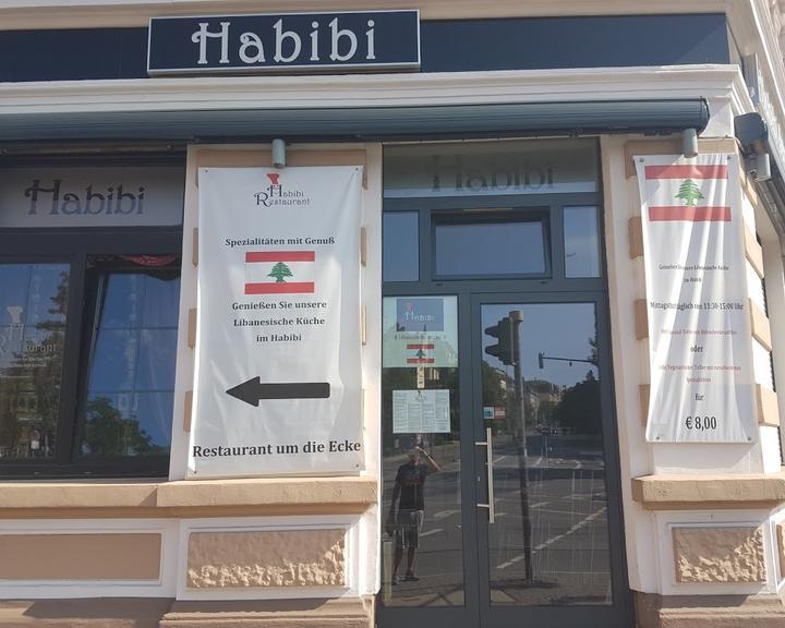 Habibi Sandwiches